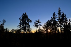 July 27th, 2014 Yellowstone