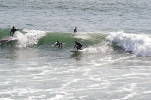 March 15th, 2015 Surfers in Golden Gate Park